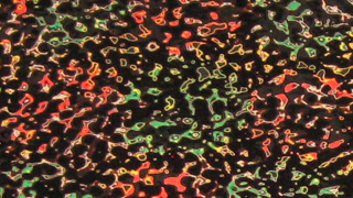 津軽塗とは | 漆明美